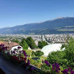 Alpendohle Innsbruck